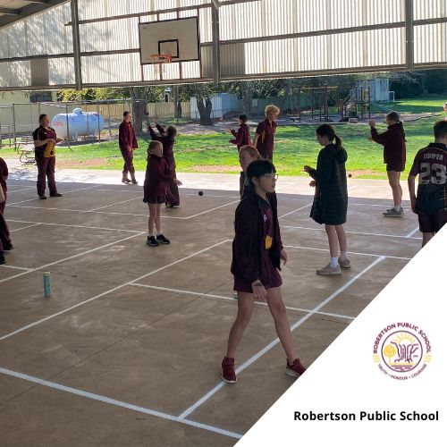 robertson public school