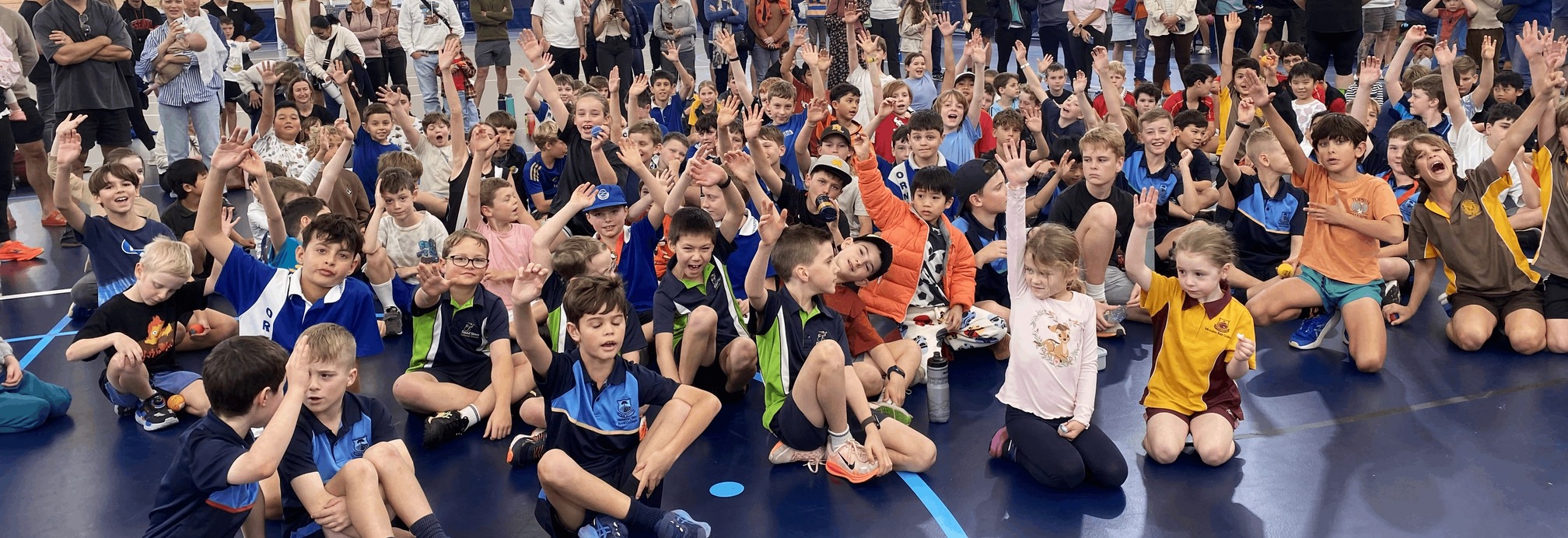 Handball - BSC Term 3 2025